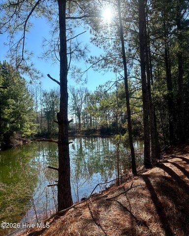 3984 Pocosin Road, Lake Waccamaw, NC 28450