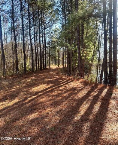 3984 Pocosin Road, Lake Waccamaw, NC 28450