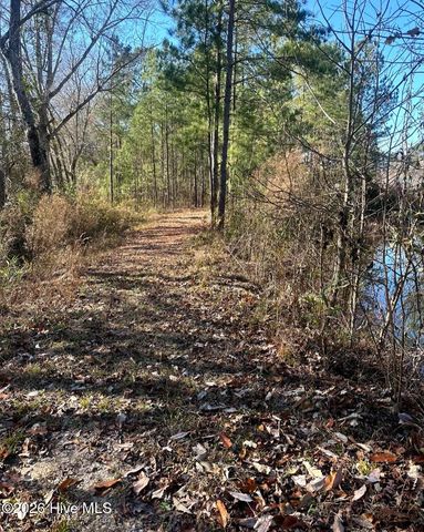 3984 Pocosin Road, Lake Waccamaw, NC 28450