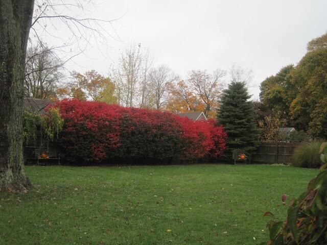 519 E Spruce Street, Marshall City, MI 49068