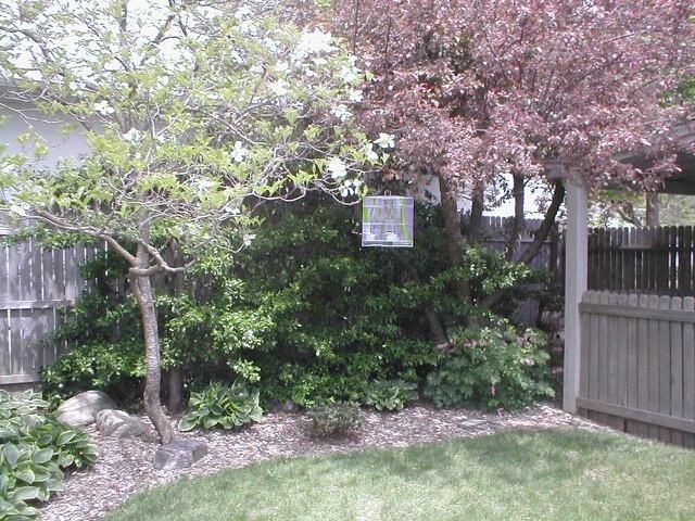 519 E Spruce Street, Marshall City, MI 49068
