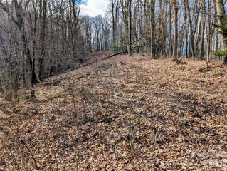 #49 Hazel Top Section, Teaberry Ridge Road, Waynesville, NC 28786