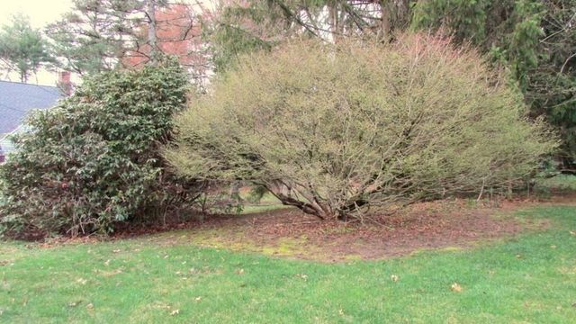 75 Holly Lane, Bridgewater, MA 02324