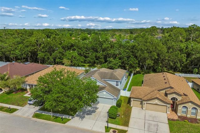6736 PINE SPRINGS DRIVE, Wesley Chapel, FL 33545