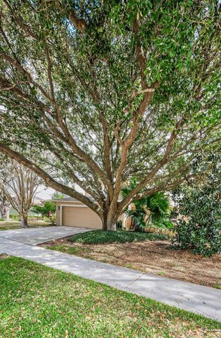 24809 HYDE PARK BOULEVARD, Land O Lakes, FL 34639