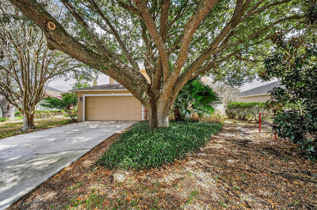 Image 61 of property listing at 24809 HYDE PARK BOULEVARD, Land O Lakes, FL 34639