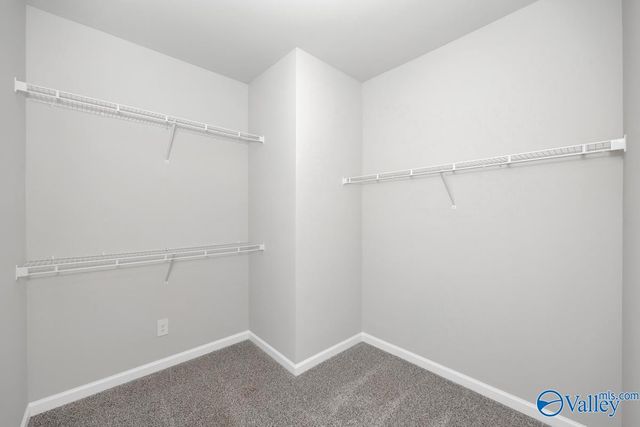 29215 Satilla Circle, Madison, AL 35756