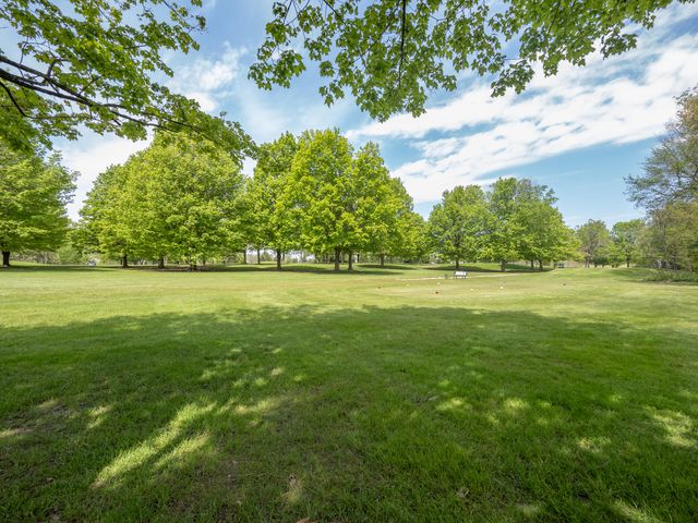 15915 Indian Valley Street, Prairie Ronde Twp, MI 49087