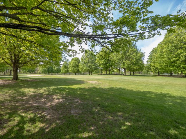 15915 Indian Valley Street, Prairie Ronde Twp, MI 49087
