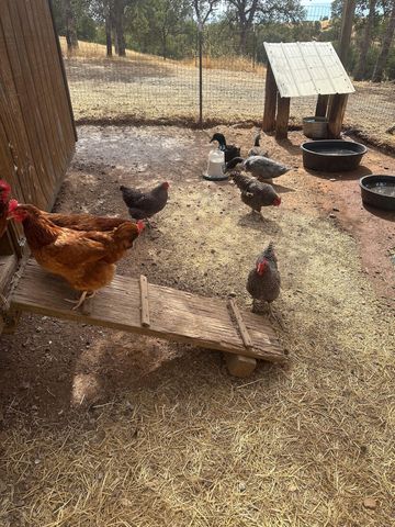 18020 Benson Road, Cottonwood, CA 96022