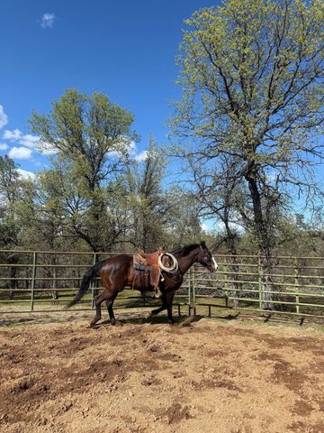 18020 Benson Road, Cottonwood, CA 96022