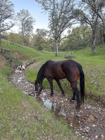 18020 Benson Road, Cottonwood, CA 96022