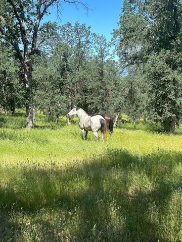 18020 Benson Road, Cottonwood, CA 96022