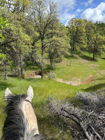 18020 Benson Road, Cottonwood, CA 96022