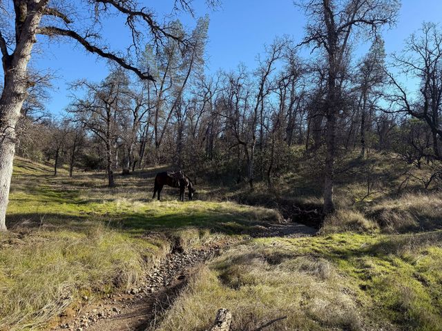 18020 Benson Road, Cottonwood, CA 96022