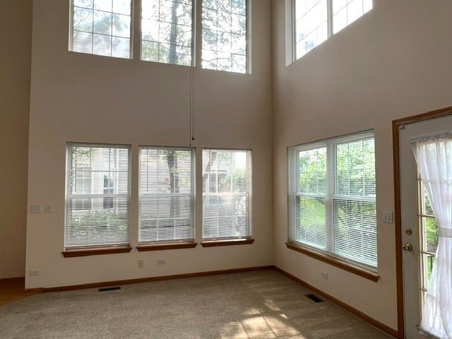 1457 Sturgeon Bay Court, Schaumburg, IL 60173
