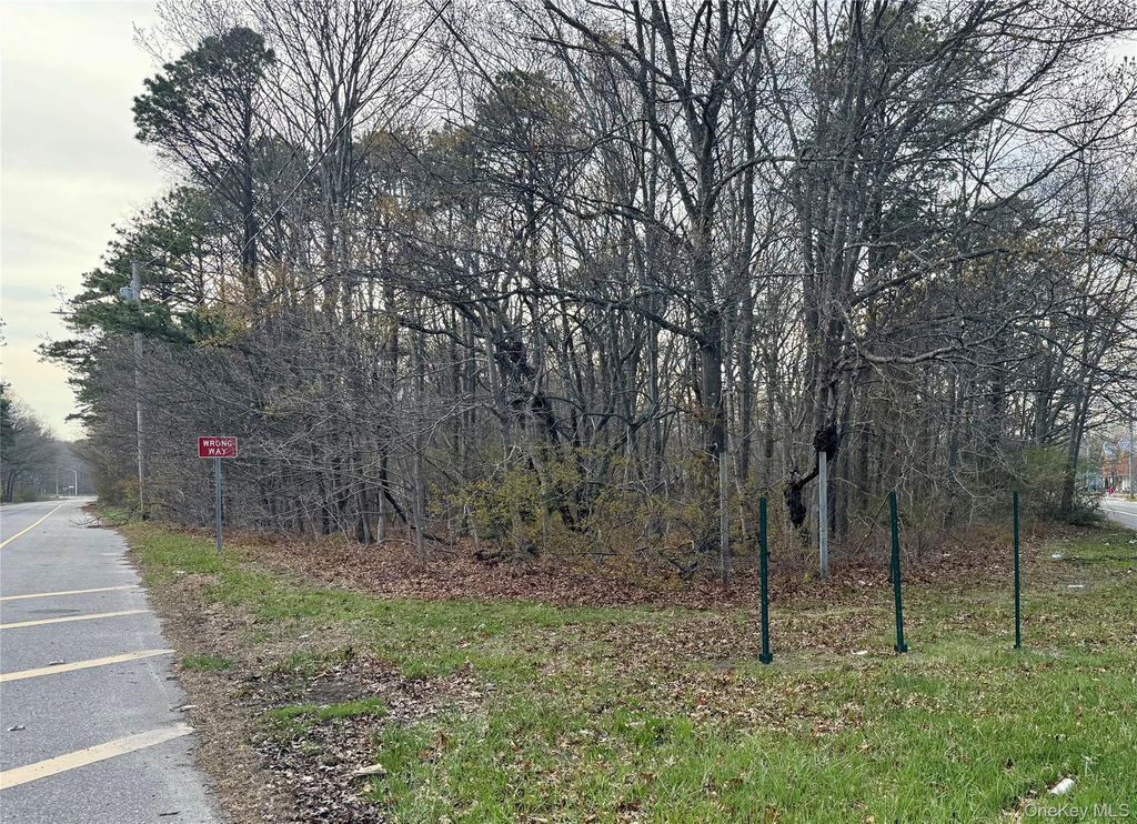 Neighborhood Road, Mastic Beach, NY 11950