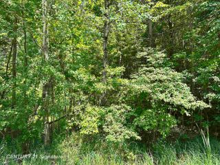 VL Pinconning Road, Beaverton, MI 48612