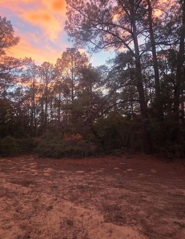 114 Fealy RD, Red Rock, TX 78662