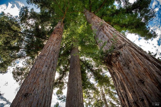 7949 Tocchini St, Sebastopol, CA 95472