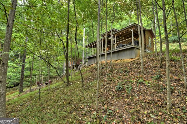 163 Chestnut Ridge Trail, Blue Ridge, GA 30513