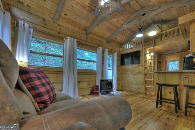 163 Chestnut Ridge Trail, Blue Ridge, GA 30513