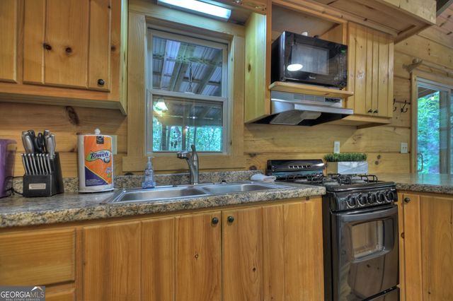163 Chestnut Ridge Trail, Blue Ridge, GA 30513