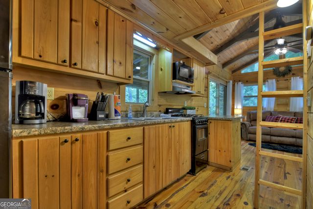 163 Chestnut Ridge Trail, Blue Ridge, GA 30513