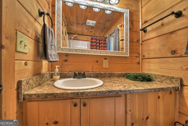 163 Chestnut Ridge Trail, Blue Ridge, GA 30513