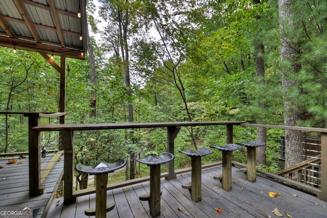 163 Chestnut Ridge Trail, Blue Ridge, GA 30513
