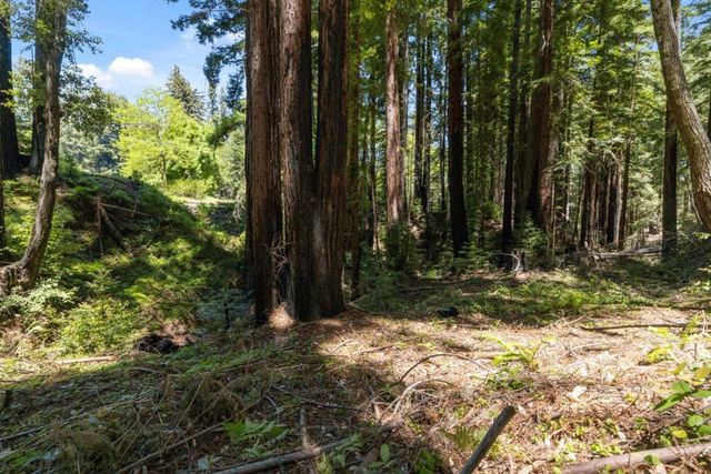 Branson, Boulder Creek, CA 95006