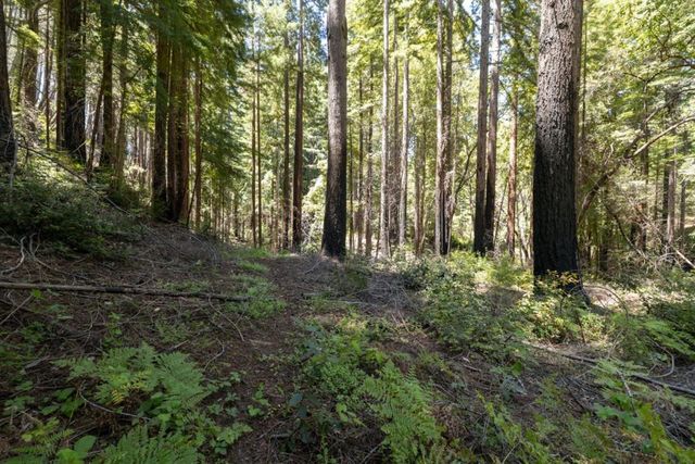 Branson, Boulder Creek, CA 95006