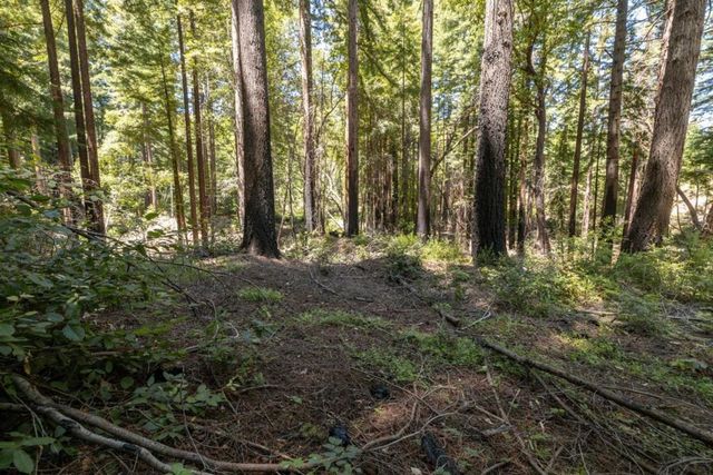 Branson, Boulder Creek, CA 95006