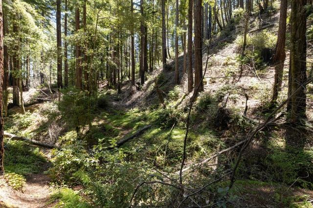 Branson, Boulder Creek, CA 95006