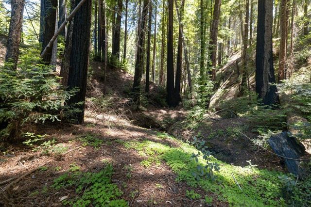 Branson, Boulder Creek, CA 95006