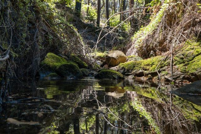 Branson, Boulder Creek, CA 95006