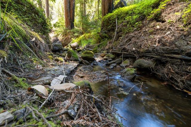 Branson, Boulder Creek, CA 95006