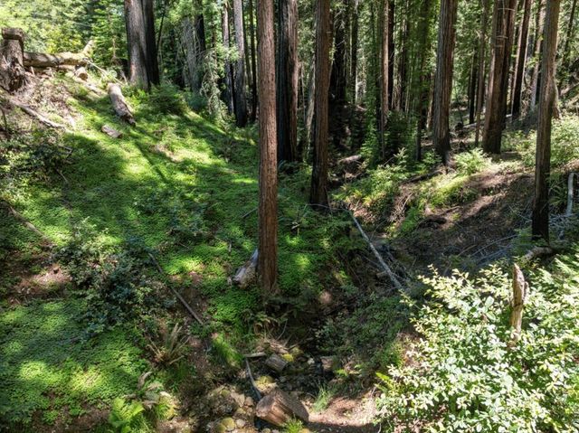 Branson, Boulder Creek, CA 95006