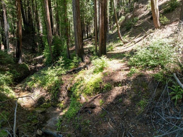 Branson, Boulder Creek, CA 95006