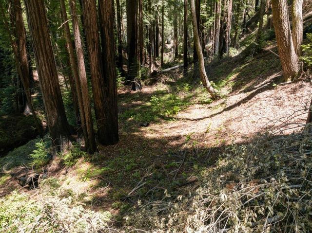 Branson, Boulder Creek, CA 95006