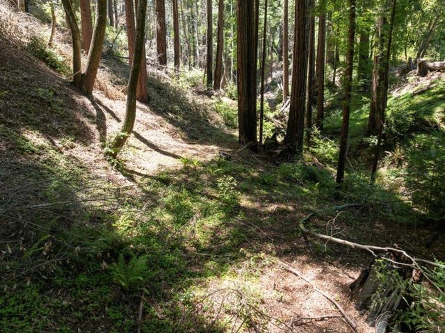 Branson, Boulder Creek, CA 95006