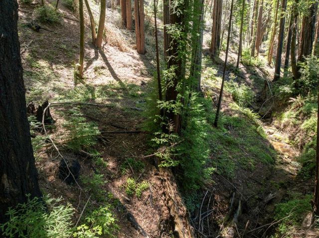 Branson, Boulder Creek, CA 95006
