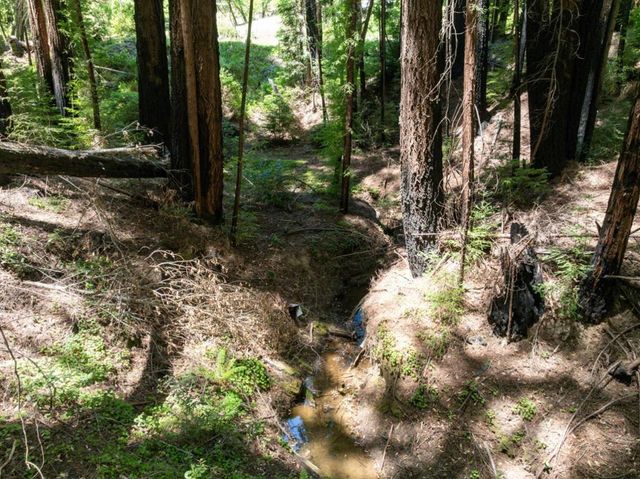 Branson, Boulder Creek, CA 95006
