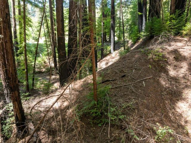 Branson, Boulder Creek, CA 95006