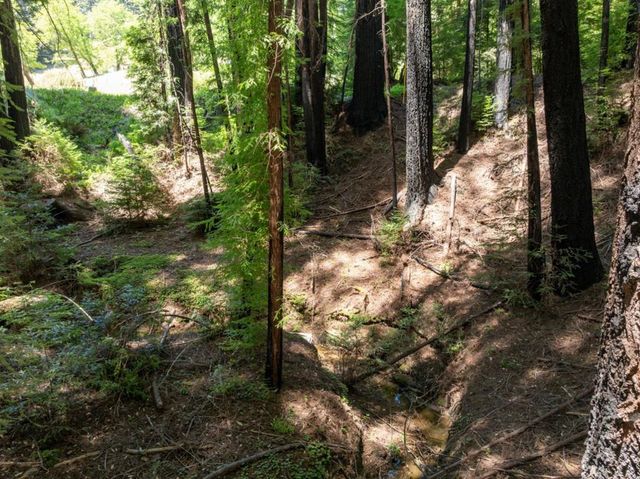 Branson, Boulder Creek, CA 95006