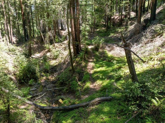 Branson, Boulder Creek, CA 95006