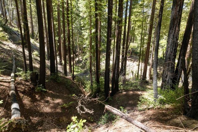 Branson, Boulder Creek, CA 95006