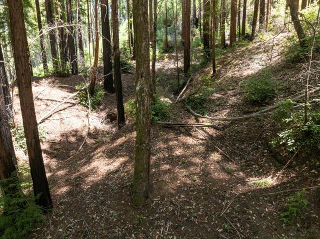 Branson, Boulder Creek, CA 95006