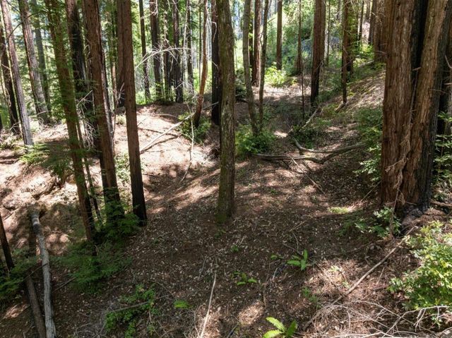 Branson, Boulder Creek, CA 95006