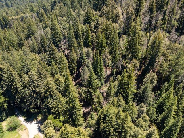 Branson, Boulder Creek, CA 95006